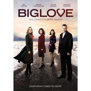 BIG LOVE SEASON 5<br/><h5>Megjelenés: 2012-08-06</h5>