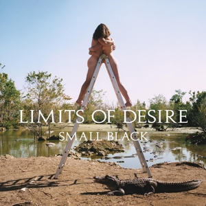 LIMITS OF DESIRE<br/><h5>Megjelenés: 2013-05-09</h5>