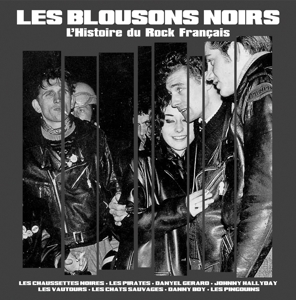 LES BLOUSONS NOIRS<br/><h5>Megjelenés: 2015-08-07</h5>