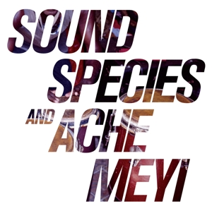 SOUNDSPECIES & ACHE MEYI<br/><h5>Megjelenés: 2017-07-13</h5>