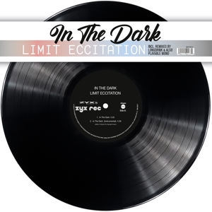 IN THE DARK<br/><h5>Megjelenés: 2020-03-13</h5>