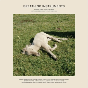 BREATHING INSTRUMENTS<br/><h5>Megjelenés: 2020-08-14</h5>