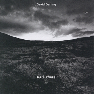 DARK WOOD<br/><h5>Megjelenés: 1995-01-01</h5>