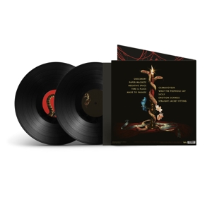 QUEENS OF THE STONE AGE IN TIMES NEW ROMAN... (Vinyl LP) | Lemezkuckó CD bolt