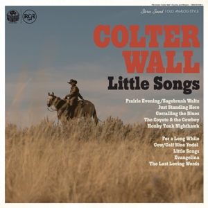 WALL, COLTER Little Songs (Vinyl LP) | Lemezkuckó CD bolt