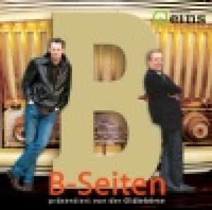 DIE B SEITEN<br/><h5>Megjelenés: 2009-06-02</h5>