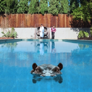 HIPPOPOTAMUS (2-LP)<br/><h5>Megjelenés: 2017-09-08</h5>