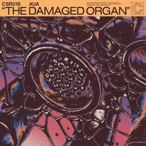 DAMAGED ORGAN<br/><h5>Megjelenés: 2022-02-21</h5>