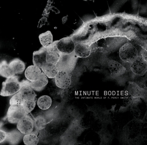 MINUTE BODIES: THE INTIMATE WORLD<br/><h5>Megjelenés: 2017-06-23</h5>