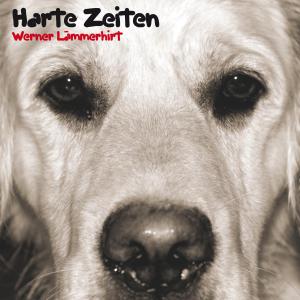 HARTE ZEITEN<br/><h5>Megjelenés: 2007-10-05</h5>