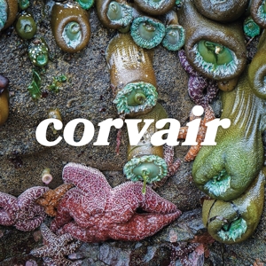 CORVAIR<br/><h5>Megjelenés: 2021-11-05</h5>