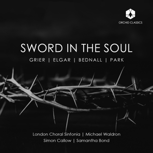 SWORD IN THE SOUL<br/><h5>Megjelenés: 2023-04-07</h5>