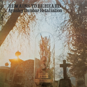 REMAINS TO BE HEARD<br/><h5>Megjelenés: 2014-02-01</h5>