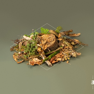 FOREST FLOOR<br/><h5>Megjelenés: 2022-04-08</h5>