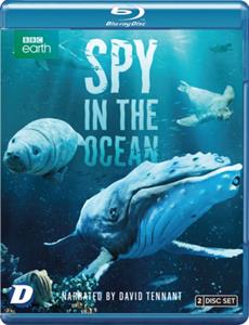 SPY IN THE OCEAN<br/><h5>Megjelenés: 2023-09-08</h5>