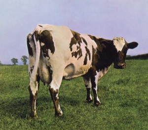 ATOM HEART MOTHER<br/><h5>Megjelenés: 2011-09-22</h5>