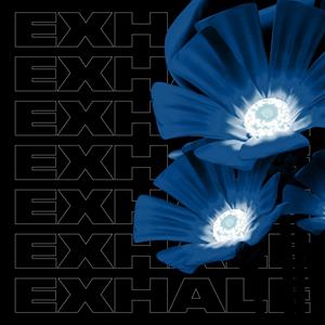 EXHALE VA004 (PART 1)<br/><h5>Megjelenés: 2023-05-05</h5>