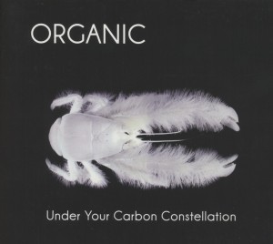 UNDER YOUR CARBON CONSTELLATION -180GR-<br/><h5>Megjelenés: 2012-10-18</h5>