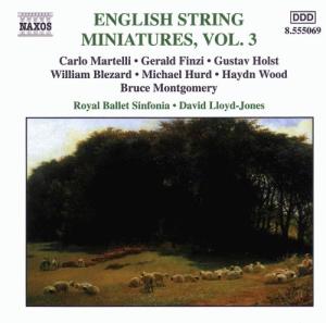 ENGLISH STRING MINIA..V.3<br/><h5>Megjelenés: 2001-10-14</h5>