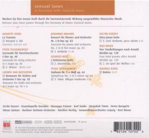 SENSUAL TUNES<br/><h5>Megjelenés: 2007-05-30</h5>