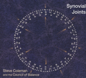 SYNOVIAL JOINTS<br/><h5>Megjelenés: 2015-07-01</h5>