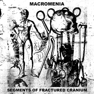 SEGMENTS OF FRACTURED CRANIUM<br/><h5>Megjelenés: 2022-11-11</h5>