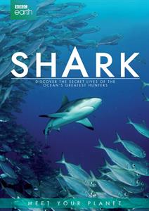 SHARK<br/><h5>Megjelenés: 2016-02-19</h5>