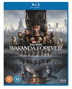 BLACK PANTHER: WAKANDA FOREVER<br/><h5>Megjelenés: 2023-02-17</h5>