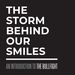 THE STORM BEHIND OUR SMILES - AN INTRODUCTION TO THE BU<br/><h5>Megjelenés: 2024-11-29</h5>