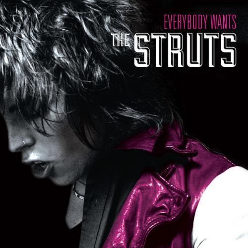 THE STRUTS EVERYBODY WANTS (CD) | Lemezkuckó CD bolt