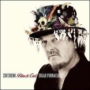 ZUCCHERO BLACK CAT (CD) | Lemezkuckó CD bolt