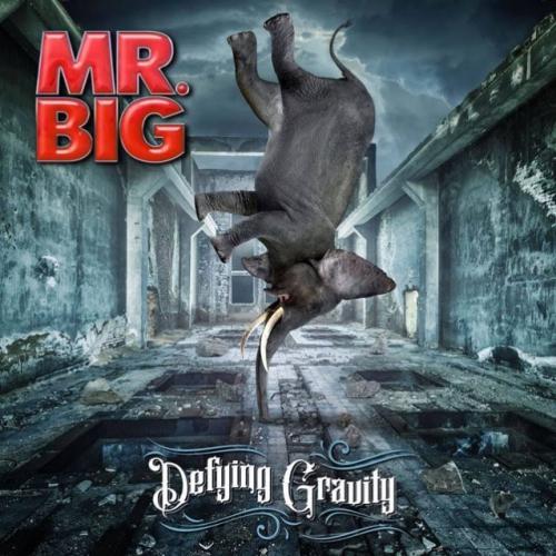 Mr.Big Defying Gravity  CD (CD) | Lemezkuckó CD bolt