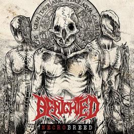 Benighted Necrobreed digibox (CD) | Lemezkuckó CD bolt