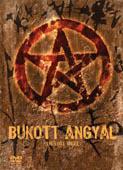 BUKOTT ANGYAL (DVD) | Lemezkuckó CD bolt