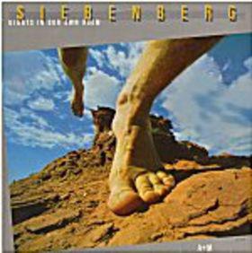 Siebenberg Giants In Our Own Room (Vinyl LP) | Lemezkuckó CD bolt