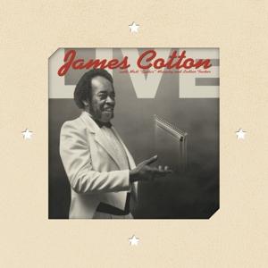 COTTON,JAMES LIVE AT ANTONE S NIGHTCLUB (Vinyl LP) | Lemezkuckó CD bolt