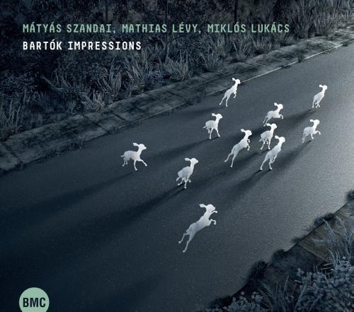 Szandai Mátyás, Mathias Lévy, Lukács Miklós Bartók Impressions (CD) | Lemezkuckó CD bolt