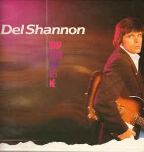 Del Shannon Drop Down And Get Me (Vinyl LP) | Lemezkuckó CD bolt