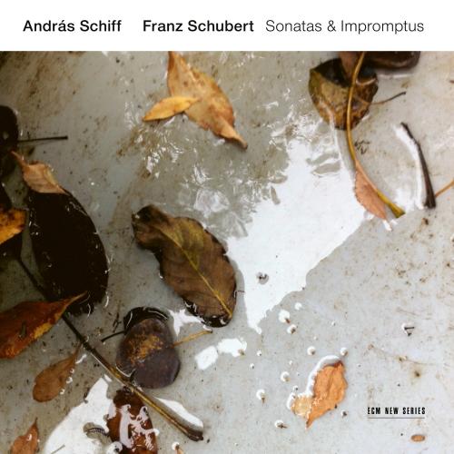 András Schiff, Franz Schubert Sonatas & Impromptus 2CD (CD) | Lemezkuckó CD bolt