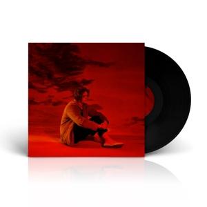 Lewis Capaldi Divinely Uninspired To A Hellish Extent (Vinyl LP) | Lemezkuckó CD bolt