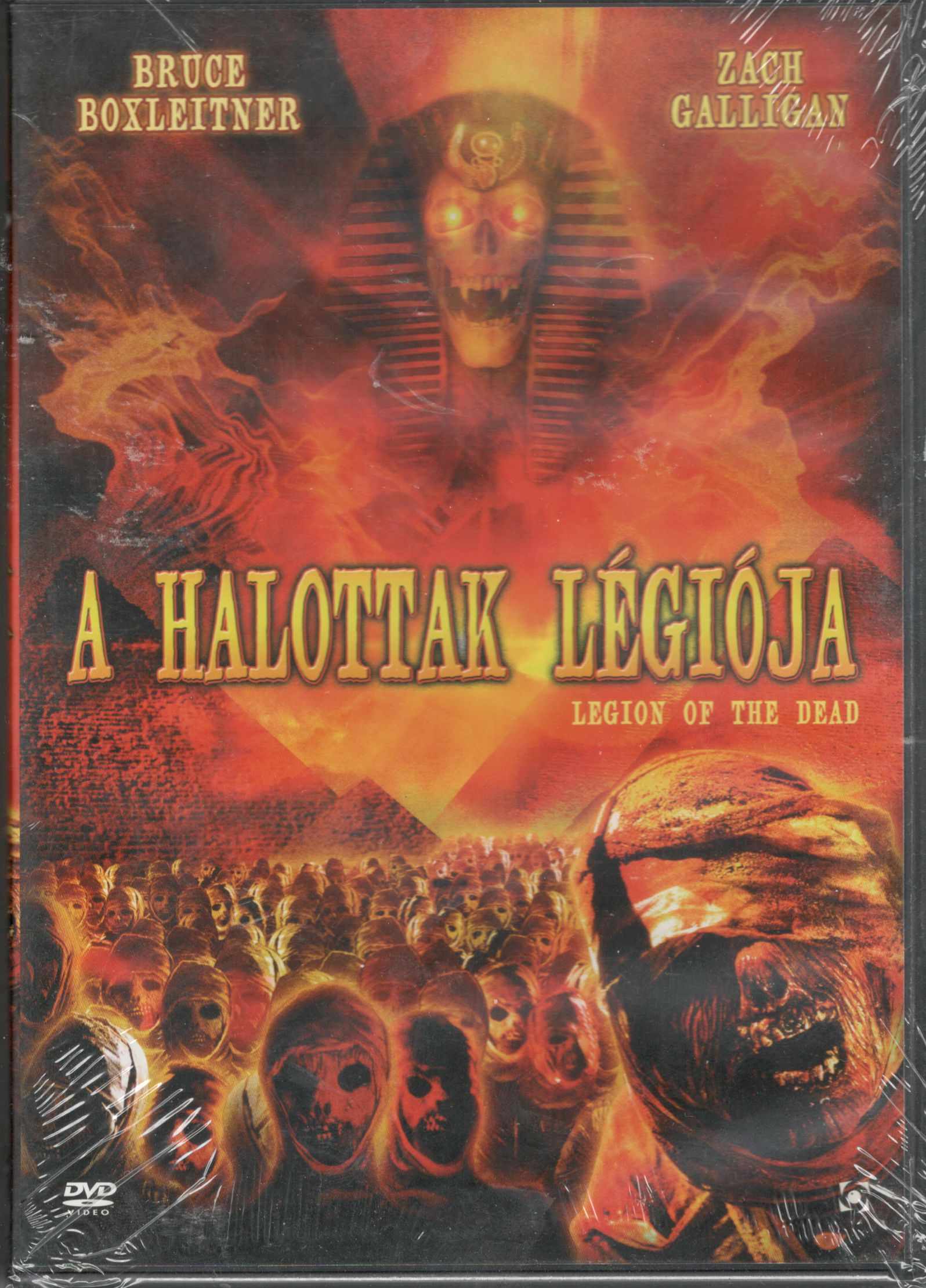 A HALOTTAK LÉGIÓJA (DVD) | Lemezkuckó CD bolt