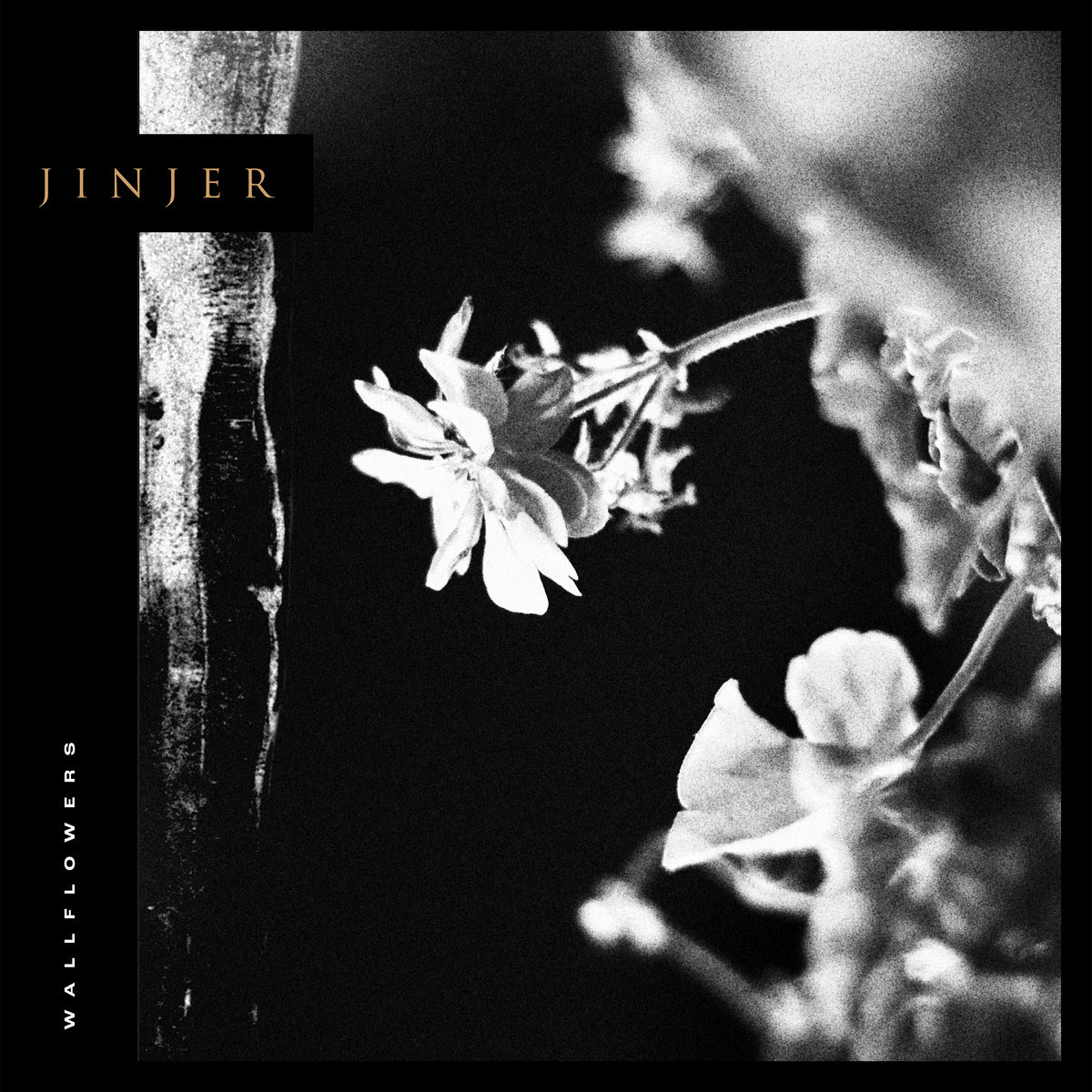 Jinjer Wallflowers (Vinyl LP) | Lemezkuckó CD bolt