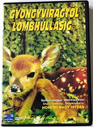 GYÖNGYVIRÁGTÓL LOMBHULLÁSIG (DVD) | Lemezkuckó CD bolt