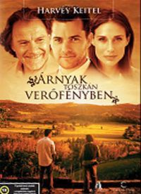 ÁRNYAK TOSZKÁN VERŐFÉNYBEN (DVD) | Lemezkuckó CD bolt