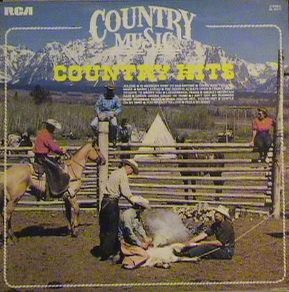 Various  Country Hits (Vinyl LP) | Lemezkuckó CD bolt