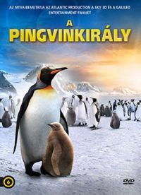 A PINGVINKIRÁLY (DVD) | Lemezkuckó CD bolt