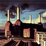 Pink Floyd Animals (Vinyl LP) | Lemezkuckó CD bolt