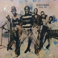 Mokoomba Rising Tide (CD) | Lemezkuckó CD bolt