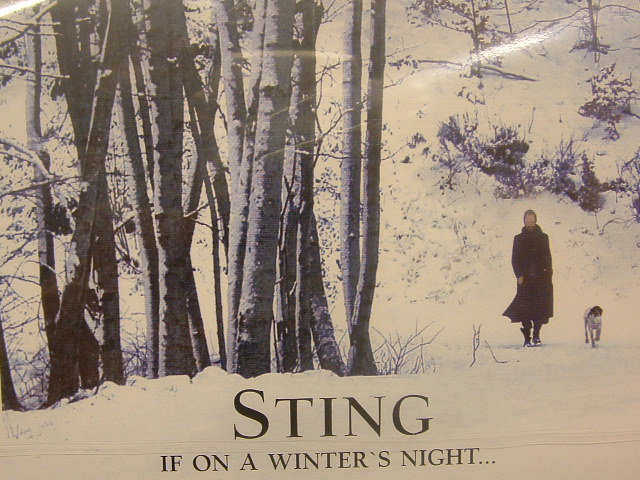 Sting If On A Winter s Night (CD) | Lemezkuckó CD bolt