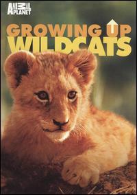 GROWING UP WILDCATS (DVD) | Lemezkuckó CD bolt